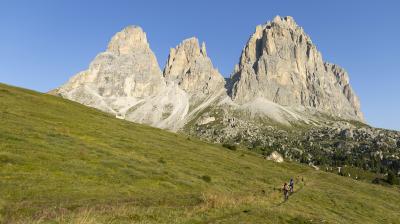 Trek Powerfly+ 4 EU L 29 Matte Mercury/Gloss Power Surg Produktbild 5