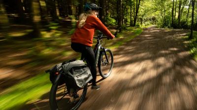 Trek Powerfly+ 4 EU L 29 Matte Mercury/Gloss Power Surg Produktbild 6