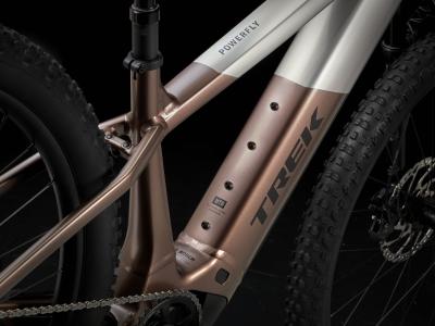 Trek Powerfly+ 8 EU XL 29 Satin Lunar Silver/Bronze Age Produktbild 10