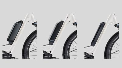 Diamant Zing Trip Core MS L Baumwollweiss Metallic 545Wh Produktbild 10