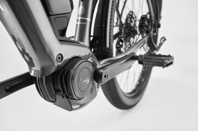 Diamant Zing Trip Core MS M Baumwollweiss Metalli 725Wh Produktbild 8