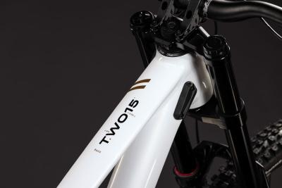 Cube TWO15 Race powdergold'n'black Gr&ouml;&szlig;e: XL Produktbild 2